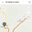 임불마을 수양벚꽃길 이미지