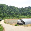 앞섬마을 이미지