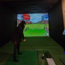 VISION24이글스크린 | 청도풀빌라 수영장 독채펜션 이글우드 후기