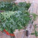 키다리농장 이미지