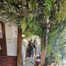 향토광고 | 유기농과 초고레벨의 향토재료로 만든 강원도 영월의 향촌소금빵맛집 영월소금빵 후기
