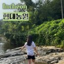 현대펜션 | 인천 근교 강화도 계곡 현대농원 펜션 식당 내돈내산후기