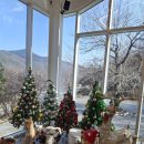 유일사슴목장 이미지