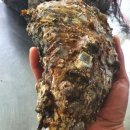 통영서울치과의원 이미지