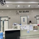 힐스타운 동물병원 | ‘힐스동물병원’ 10살 말티즈 스케일링 후기, 영수증비용, 주의사항
