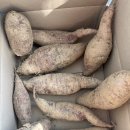 아이와농장 네이버블로그