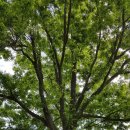 연산중학교 이미지