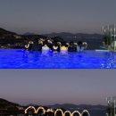 왔능가 여수 네이버블로그