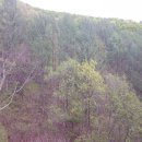 무릉리-8 이미지