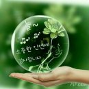 철암탄광역사촌 이미지