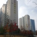 푸른숨마트