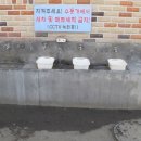 영화셀프세차장 이미지