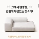프랜드펫 | 프리미엄 펫가구 "라클라우드"
