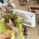 태안칸 | [가을 캠핑 기록 ] 충남 태안 바다랑 캠핑장 2박 3일 후기A8 사이트 시설 안내 오션뷰 캠핑장 추천...