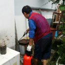 맑은세상 티스토리