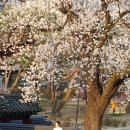 행림병원 이미지