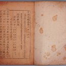 신흥사 구 대웅전 단청반자 | [웹북] 울산광역시의 유형문화재 (1호~39호)