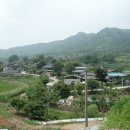고기엄마