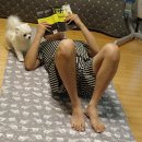 냉감매트 추천! 시릴 정도로 시원한 쿨쿨나라 쿨젤매트 솔직 후기