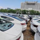 우박이네 이미지