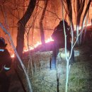 사하구-45 이미지