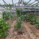 목현농장 이미지