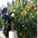 건영농장 이미지