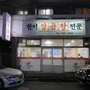 현이양이 이미지