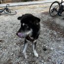 (주)반석에너지 이미지