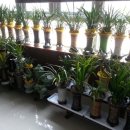 능실초등학교 이미지