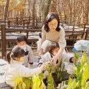 가조힐링랜드 이미지