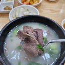 2019036 | 대구 월배시장 삼백소머리국밥 후기, 김치 맛있는 소머리곰탕집