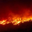 세계에서 산 화재가 확대, 지구온난화와의 관계는? 인간활동의 영향도. 이미지