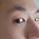 수올림 탄닌팩 사용 후기. 미백탄력팩 피부 탄력케어로 강추. 보습 넘치는 겨울 보내기