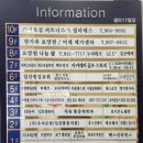 백마동물병원 | 국내 유일 병원 협업 SMP 전문 아카데미 SMP STUDIO 일산점 방문/두피관리 후기