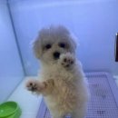 재영축산 이미지