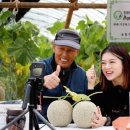 영화농산물 이미지