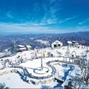 휘닉스파크 이미지