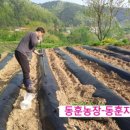 동훈농장 이미지