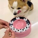 댕댕스낵 이미지