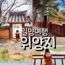 밀양 위양지 완재정 포토존 주차장 가볼만한곳 추천