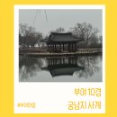 부여백제(공주) | 부여 10경 궁남지 사계절 매력과 백제 무왕 선화공주 서동요 전설 주차 팁까지 솔직 후기