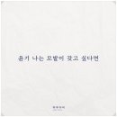 하루두피 수원광교점 이미지