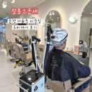 벅스79 | [살롱드온세] 운정 다율동 미용실 두피케어 후기