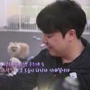 멍스가든 이미지