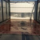 경산세차장 이미지