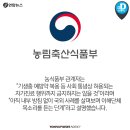 배약국 이미지
