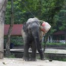 서울대공원 이미지