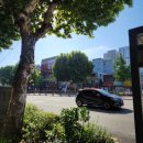 천안종로약국 이미지