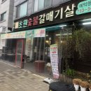 초원갈매기 이미지